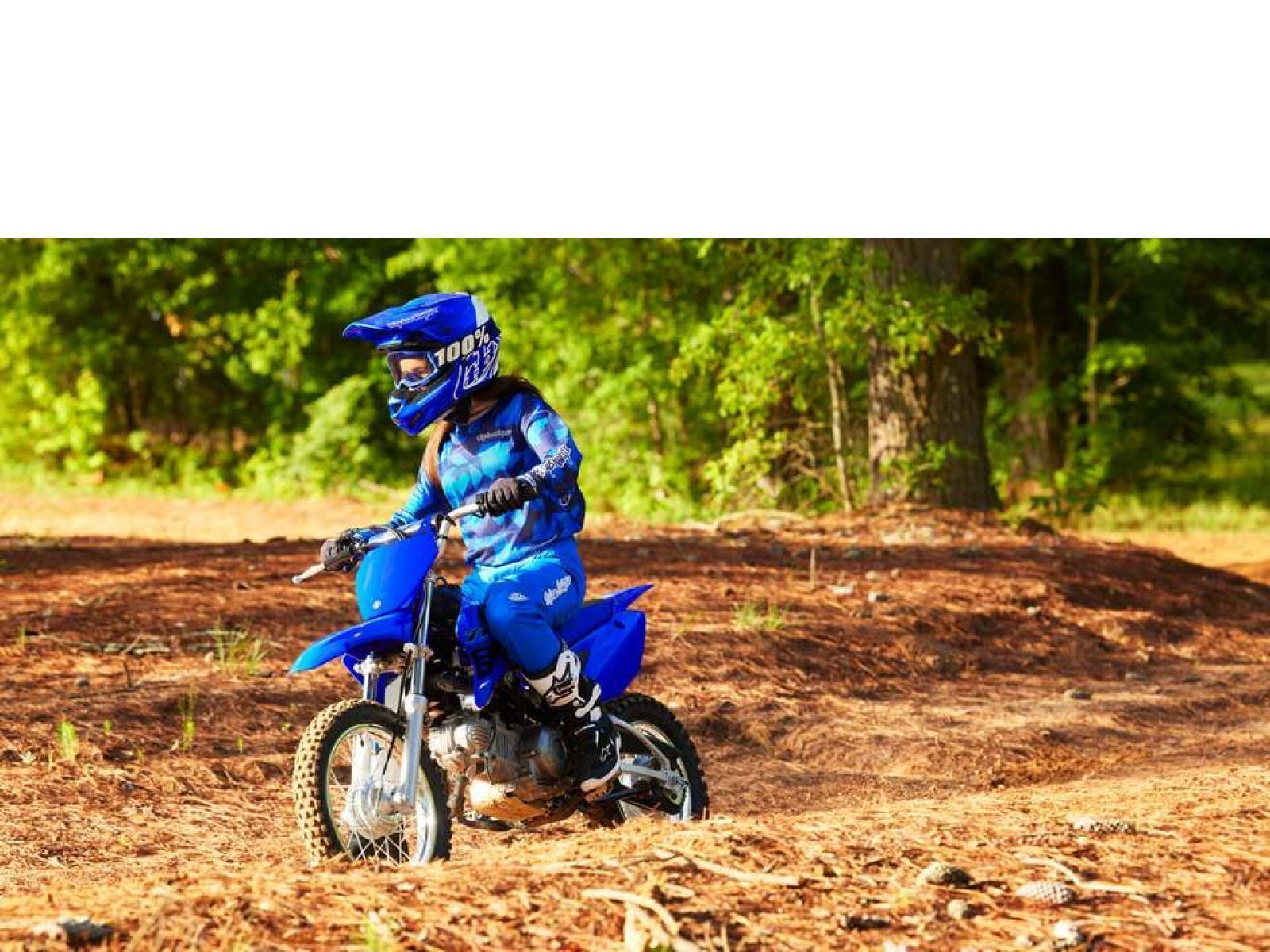 Мотоцикл YAMAHA TTR 110 E (Icon Blue) 2024